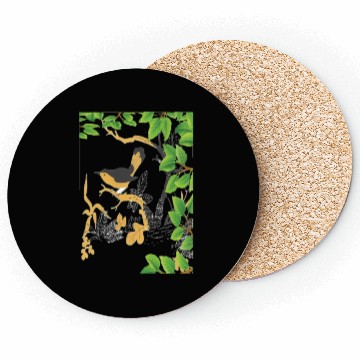Discover Bird Nature Coasters