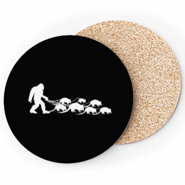 Discover Bigfoot Armadillos Coasters