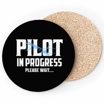 Discover Pilot In Progress Please Wait.... Aviation Airline Coasters