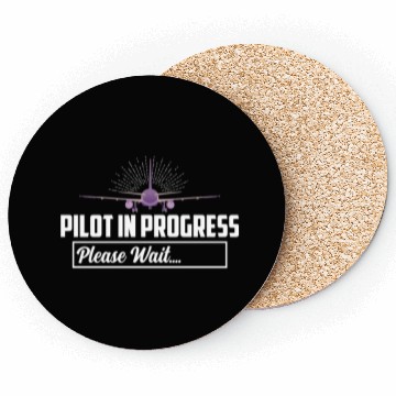 Discover Pilot In Progress Please Wait.... Airline Aviation Coasters