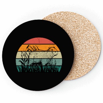 Discover Vintage Capybara Coasters