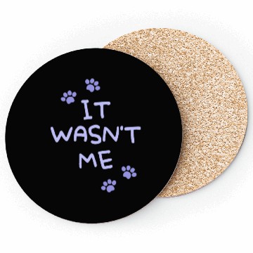 Discover It Wasn't Me Coasters