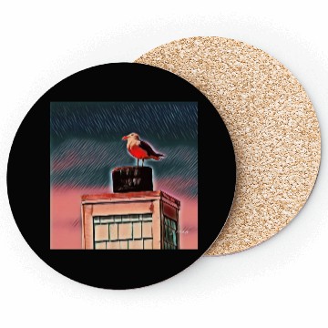 Discover Seagull Coasters