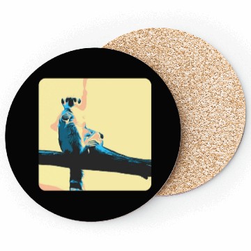 Discover ring-tailed lemur chilling - ringtailed Coasters