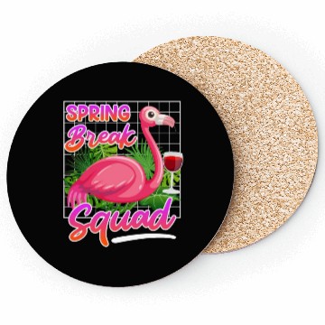 Discover Spring Break Squad Summer Vacation Spring Break Coasters