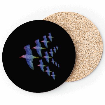 Discover Flying Birds Coasters