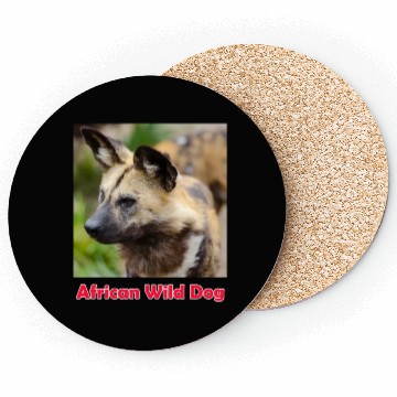 Discover African Wild Dog Coasters