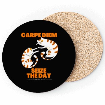 Discover Cats Lover Carpe Diem Seize The Day Coasters