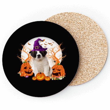 Discover Dog Halloween Saint Bernard Dog Jack O Lantern Coasters