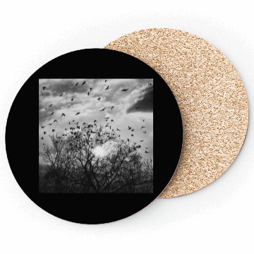 Discover Bird's flight at sunset Coasters