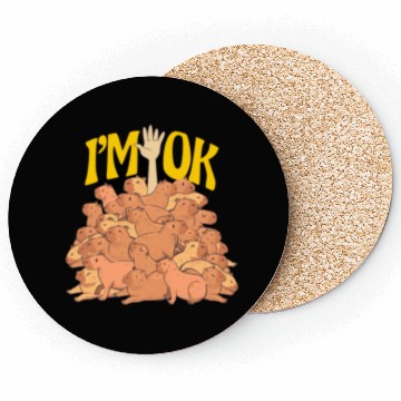 Discover Capybaras I m Ok Funny Capybara Lover Coasters