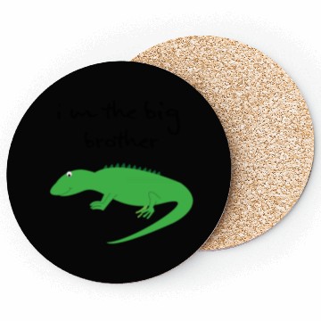 Discover big brother Coasters