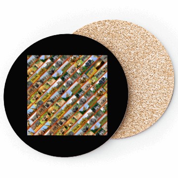 Discover Wildlife Stripe orange Collage Coasters