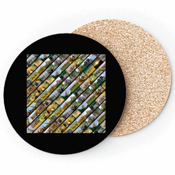 Discover Wildlife Stripe black Collage Coasters