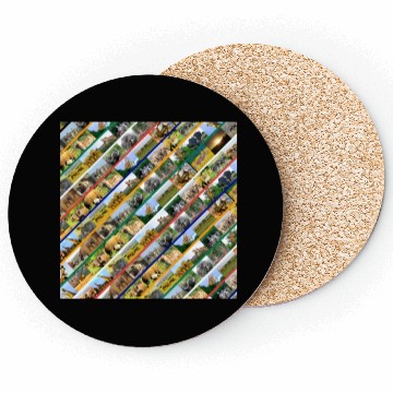 Discover Wildlife Stripe Multi Color Collage Coasters