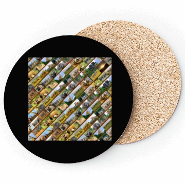 Discover Wildlife Stripe Brown Collage Coasters