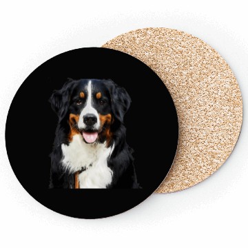 Discover Portrait Of Bernese Mountain Dog Coasters