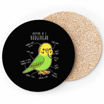 Discover Green Budgie Anatomy Coasters