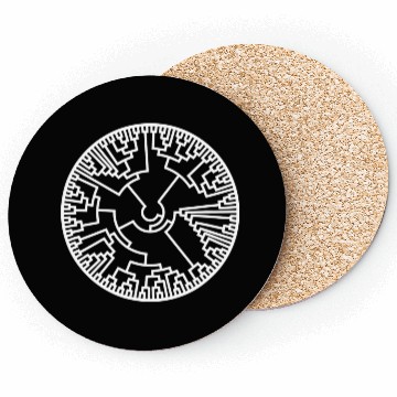 Discover Biologist Phylogenetic Tree Evolution Teacher Coasters