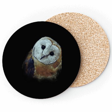 Discover Barn Owl Painting Owl Coasters