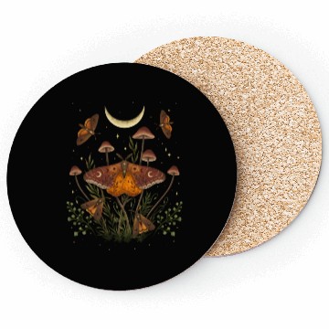 Discover Autumn Light Underwings Coasters