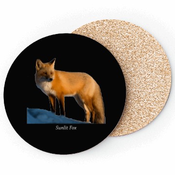 Discover Sunlit Fox Wildlife Nature Coasters
