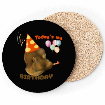 Discover today is my birtday funny monkey Coasters