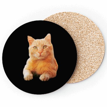 Discover Orange Cat Coasters