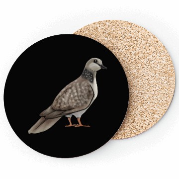 Discover Bird Dove Spotted Dove Coasters