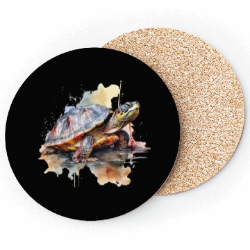 Discover Turtle Coasters