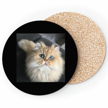 Discover Cat lover Coasters