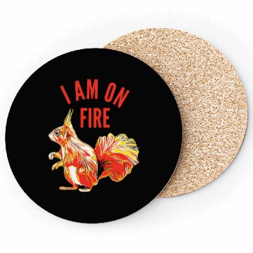 Discover Squirrel I am on Fire Coasters