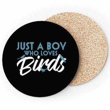 Discover Bird Budgie Boy Avian Love Robin Heron Hummingbird Coasters
