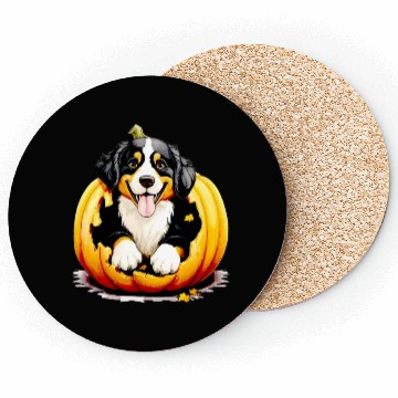 Discover Halloween Bernese Mountain Dog Coasters
