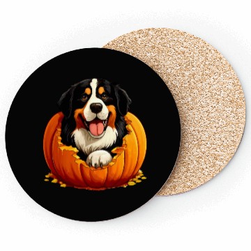 Discover Halloween Bernese Mountain Dog Coasters