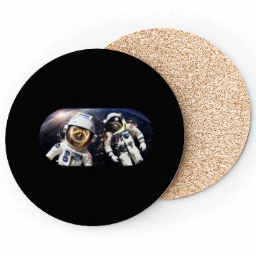 Discover Racoons in Space Coasters