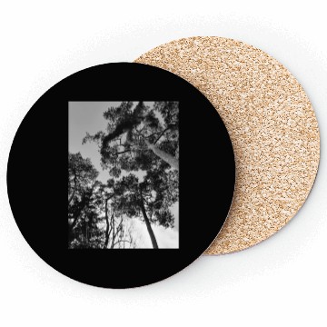 Discover 20230108 142337 Coasters
