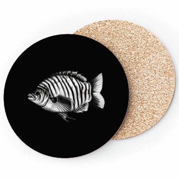 Discover Fish Coasters