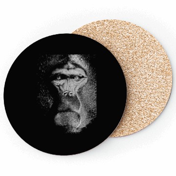 Discover Ape Gorilla Monkey Primate Macaque Chimpanzee Coasters