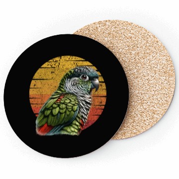 Discover Green Cheeked Conure Cute Conure Parrot Coasters