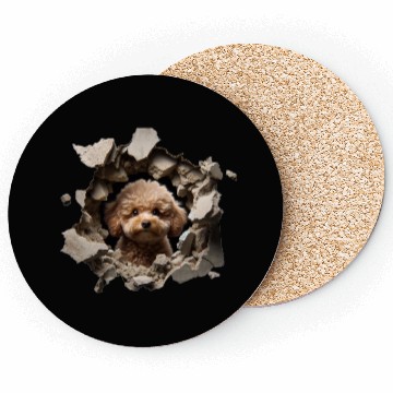 Discover Toy Poodle Peeking Through a Hole Coasters
