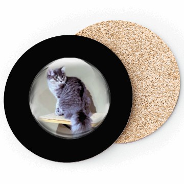 Discover Life In a Bubble Collection-Kitty on the Shelf Coasters