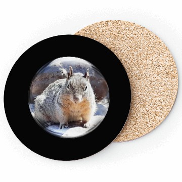 Discover Life In a Bubble Collection- Grand Canyon Squirrel Coasters