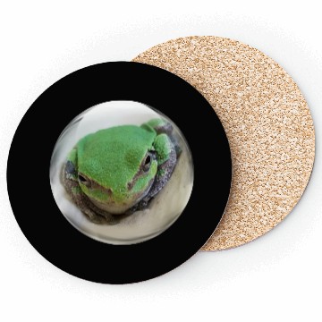 Discover Life In a Bubble Collection - Frog Eyes Looking 4U Coasters