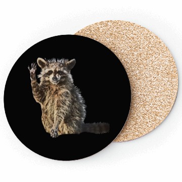 Discover Sunny Raccoon: Happy Print Collection Coasters