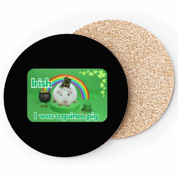 Discover Irish I was a guinea pig Coasters
