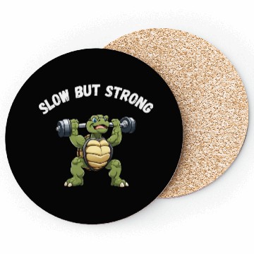Discover Slow But Strong Turtle Coasters