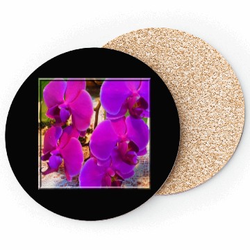 Discover Orchid 4 Coasters