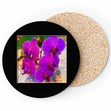 Discover Orchid 3 Coasters