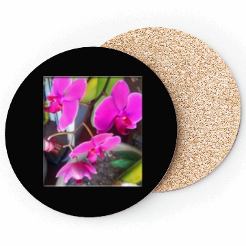 Discover Orchid 1 Coasters